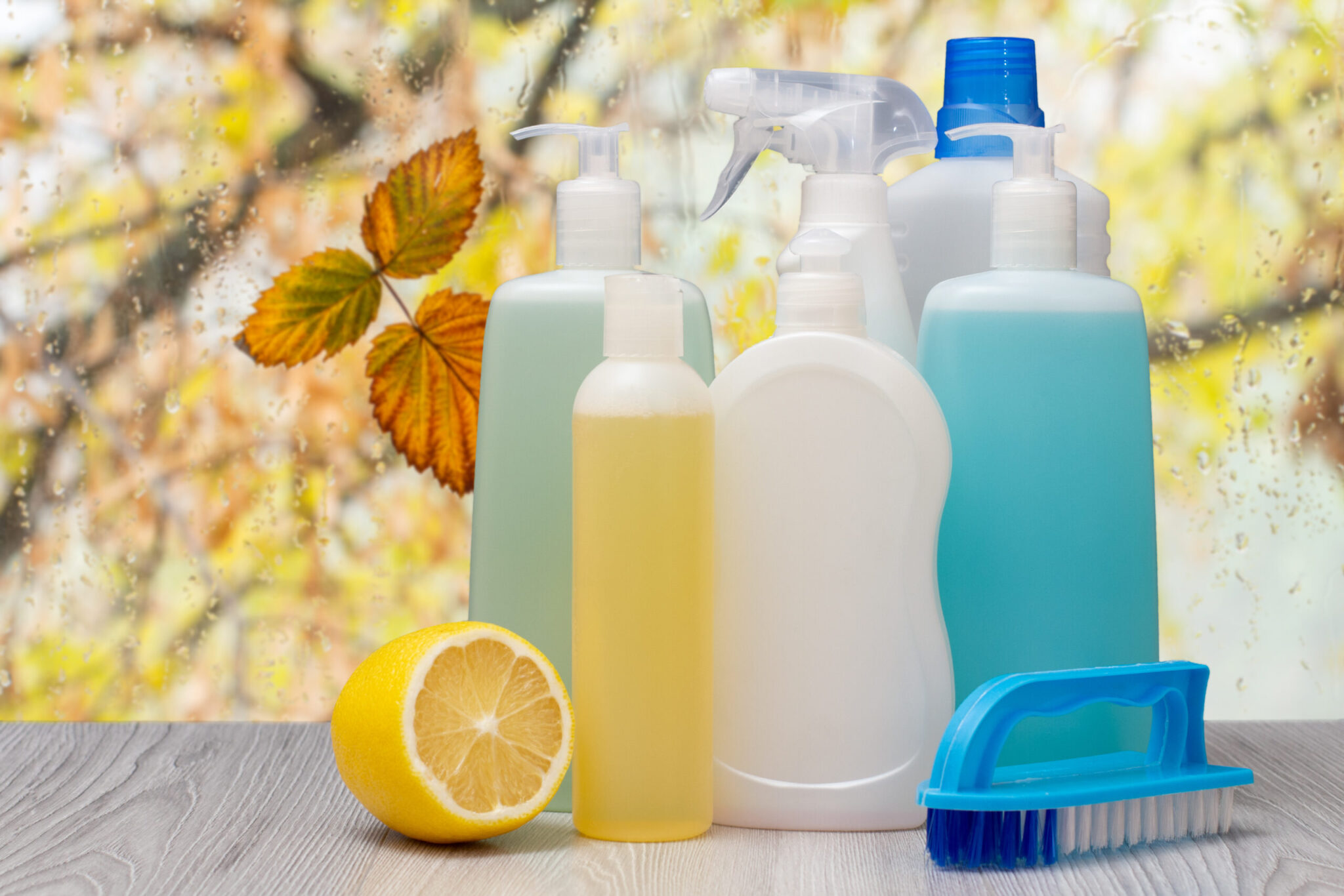 Cuida la salud del planeta mientras cuidas de tu familia: ¿cómo hacer una limpieza ecológica en nuestro hogar?
