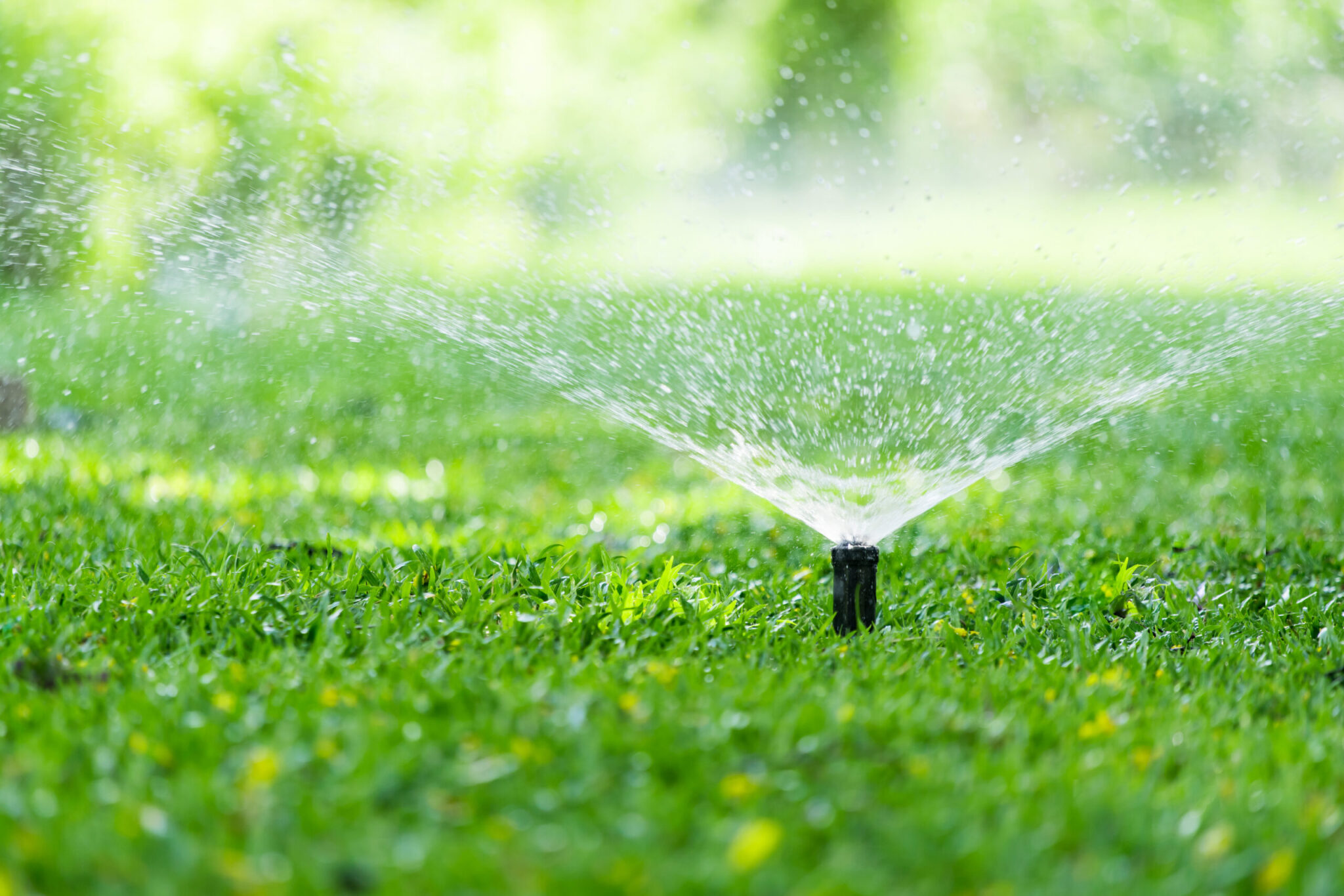 Los 7 sistemas de riego para jardines que debes conocer