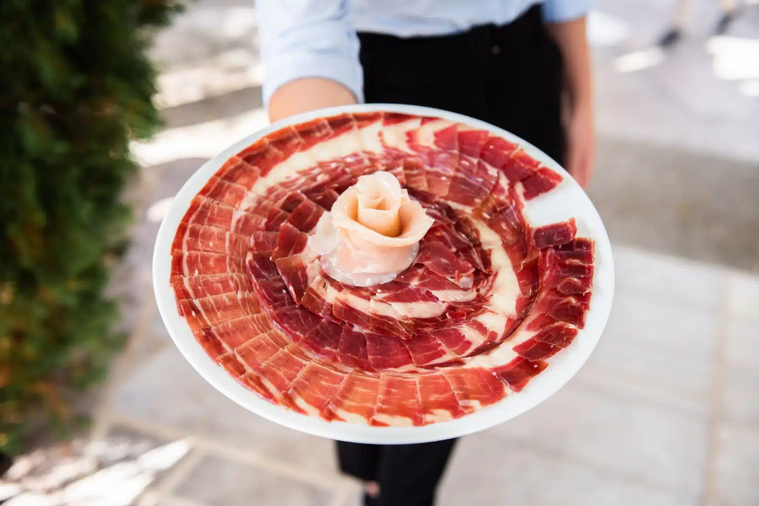 Jamón Ibérico vs. Jamón Serrano: Un Duelo Culinario de Tradición y Sabor