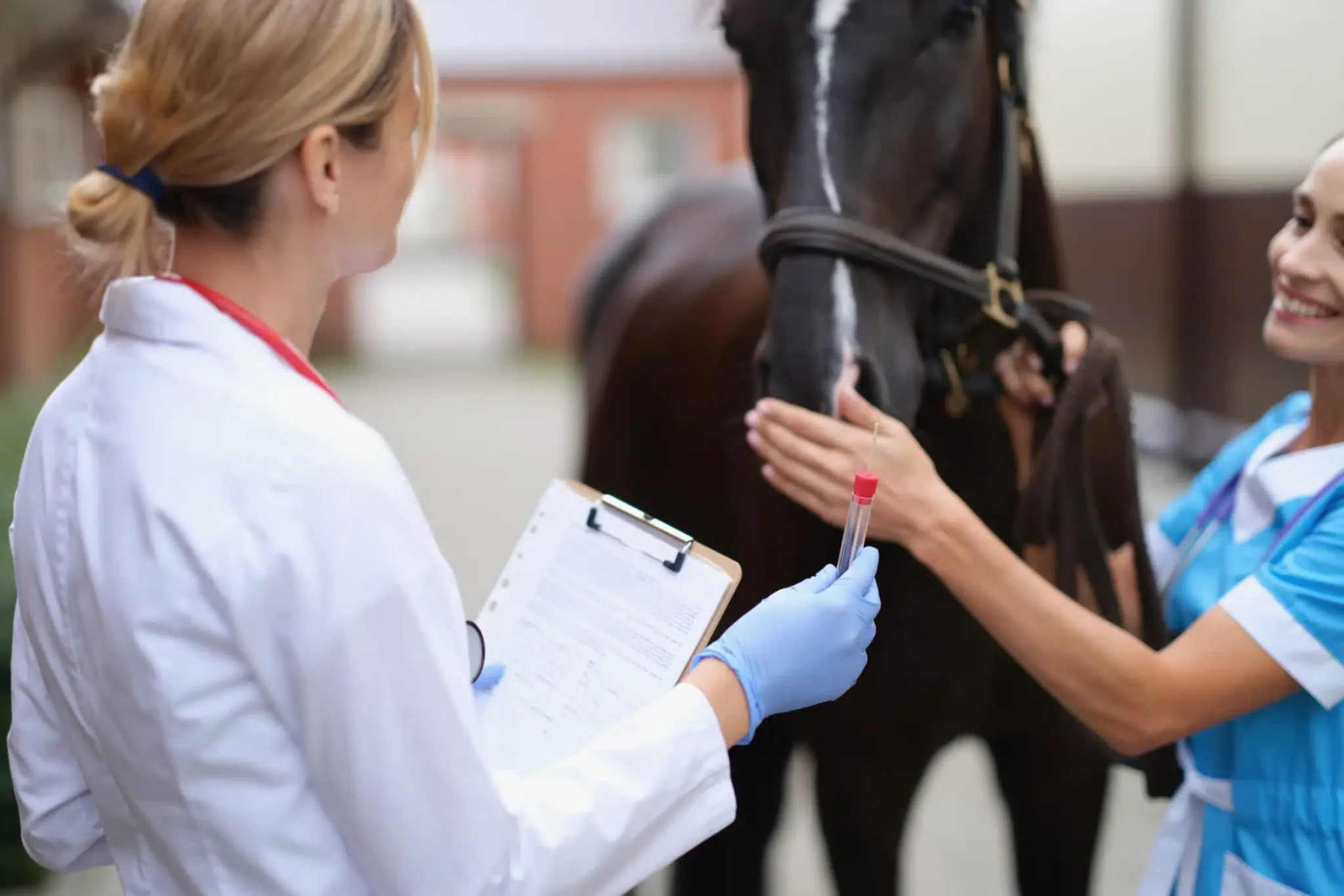 ¿Qué hacer si eres veterinario y un propietario reclama por tu actuación profesional?