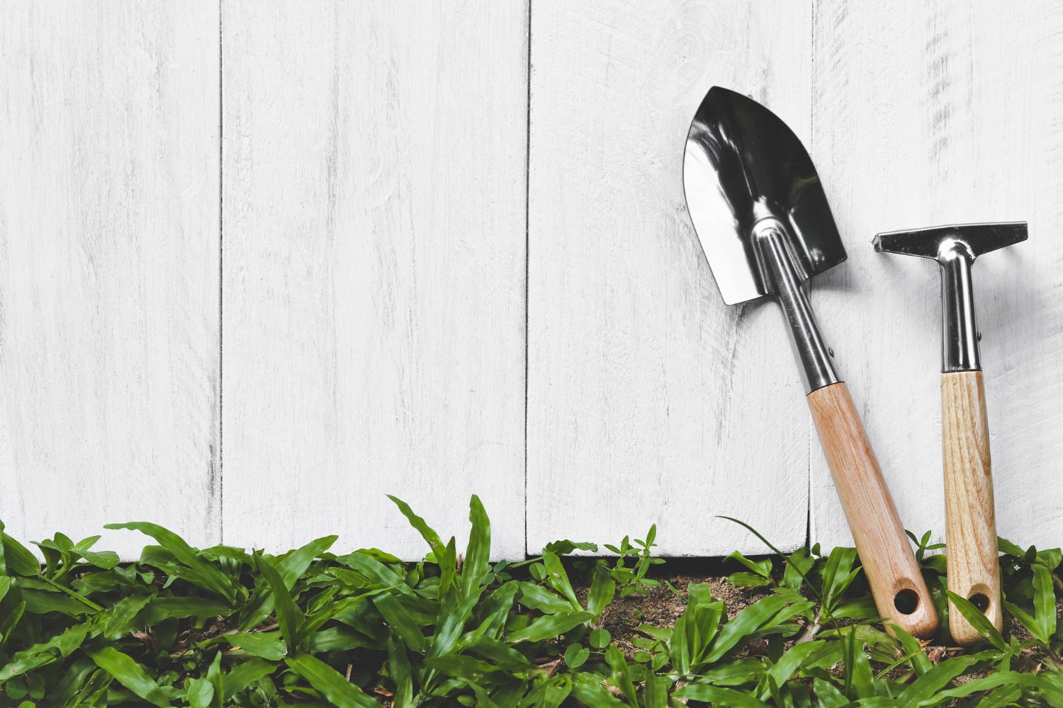 Jardinería: mucho más que plantas y flores