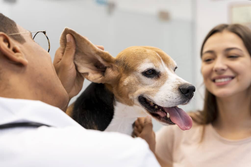Lo que una consulta veterinaria puede detectar a tiempo