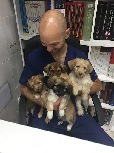 Entrevista a Óscar Piedrola Negreira, de Clínica veterinaria Tres Olivos: «La medicina preventiva es la veterinaria del futuro»