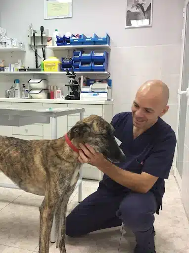 Entrevista a Óscar Piedrola Negreira, de Clínica veterinaria Tres Olivos: «La medicina preventiva es la veterinaria del futuro»